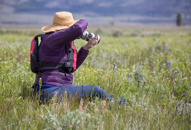 Volunteer photographer at Sierra Valley Preserve