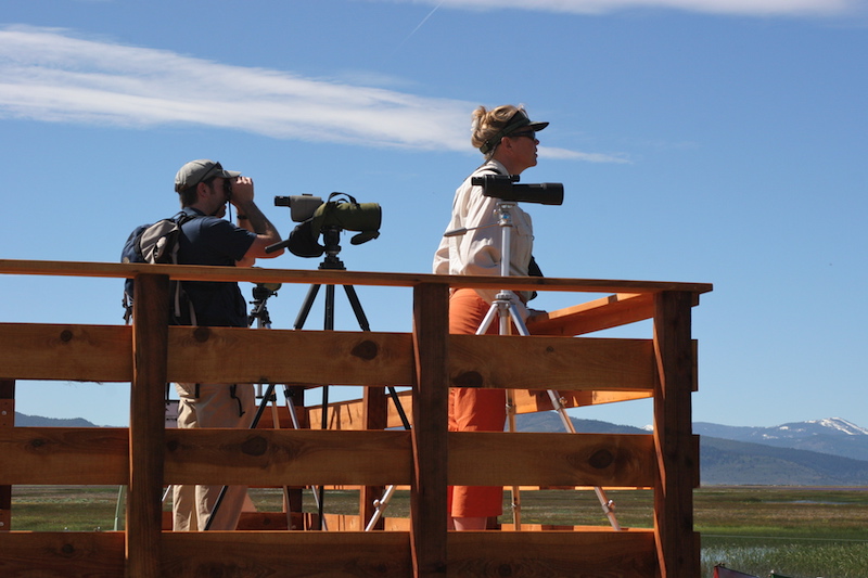 Birders on wildlife viewing platform at Sierra Valley Preserve